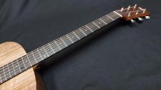 Taylor Big Baby Taylor Walnut_7