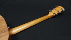 Taylor Big Baby Taylor Walnut_10