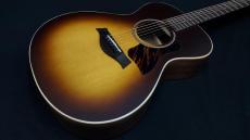 Taylor AD12e-SB_6
