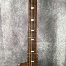 Gibson Les Paul Special SL_3