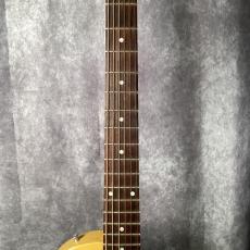Gibson Les Paul Special Faded_3