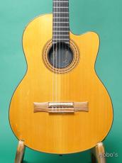 Gibson CHET ATKINS NYLON