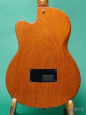 Gibson CHET ATKINS NYLON_4