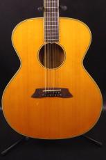 Takamine NPT 12-Strings 
