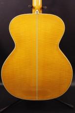 Takamine NPT 12-Strings _3
