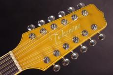 Takamine NPT 12-Strings _4