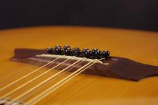 Takamine NPT 12-Strings _7