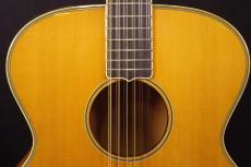 Takamine NPT 12-Strings _8