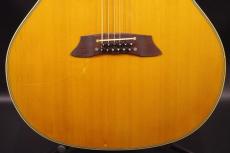 Takamine NPT 12-Strings _9