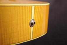 Takamine NPT 12-Strings _6