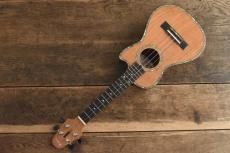Hana Ukulele Concert Lacewood_2