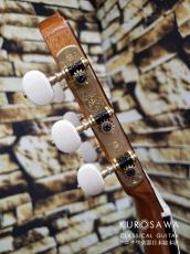 Fango Mo 莫国芳 2024年製 No.59 松・シープレス【日本総本店2F 在庫品】_8