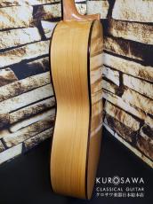 Fango Mo 莫国芳 2024年製 No.59 松・シープレス【日本総本店2F 在庫品】_10