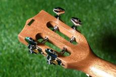 KALA KA-SMH-TG-CE Tenor_6