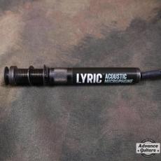 L.R.Baggs Lyric_4