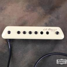L.R.Baggs M1 Passive