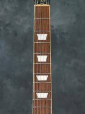 Gibson Slash Victoria Les Paul Standard Goldtop_4