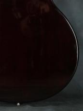 Gibson Slash Victoria Les Paul Standard Goldtop_12