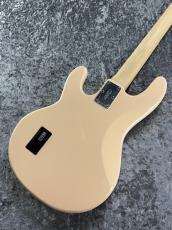 Sterling by MUSIC MAN SUB RAY 4 - Vintage Cream -【3.94㎏】_9