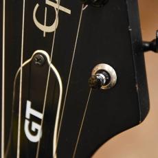 Epiphone Explorer GT_6