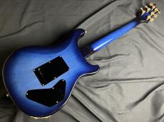 Provision PPSC-RT100/SM Lefty【カスタムオーダーモデル】_8