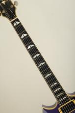 YAMAHA SG2000 Deep Purple 1981_7