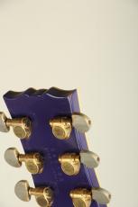 YAMAHA SG2000 Deep Purple 1981_11
