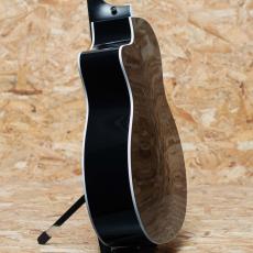 Taylor 214ce Plus Special Edition Trans Blue_5