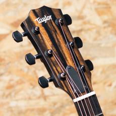 Taylor 214ce Plus Special Edition Trans Blue_8