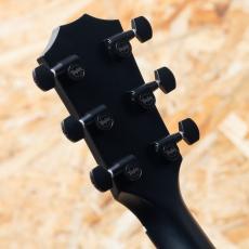 Taylor 214ce Plus Special Edition Trans Blue_9
