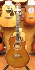 Takamine TSP138C_2