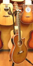 Takamine TSP138C_3