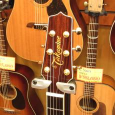 Takamine TSP138C_4