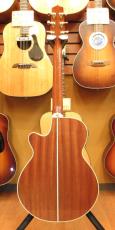 Takamine TSP138C_5