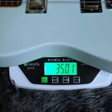 Fender Limited Edition American Cabronita Special, Rosewood Fingerboard, Sonic Blue_10