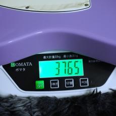 Fender Limited Edition Player II Telecaster, Rosewood Fingerboard, Lavender Haze_9
