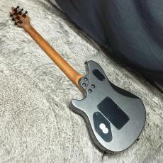 EVH Wolfgang Standard Baked MN Granite Crystal【夏】_3