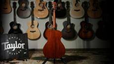 Taylor 【特注モデル】Custom 312 Cedar / Mahogany - Slotted Head【公認リペアマン在籍店】_3