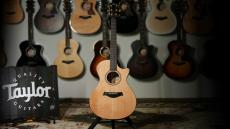Taylor 【特注モデル】Custom 312ce Cedar / Mahogany - ES2【Taylor公認 リペアマン在籍店】_2