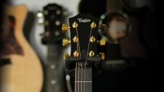 Taylor 【特注モデル】Custom 312ce Cedar / Mahogany - ES2【Taylor公認 リペアマン在籍店】_4