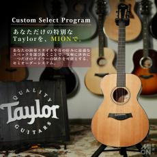 Taylor 【特注モデル】Custom 312ce Cedar / Mahogany - ES2【Taylor公認 リペアマン在籍店】_11