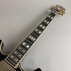 Ibanez AS113B-TBC / Tobacco Brown_3