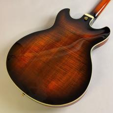 Ibanez AS113B-TBC / Tobacco Brown_5