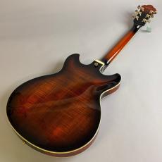 Ibanez AS113B-TBC / Tobacco Brown_6