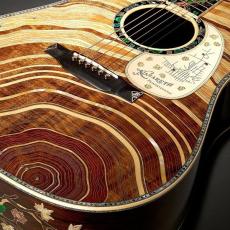Martin 【世界30本限定】D-300 ハカランダ使用 【ASK価格・生産本数300万本記念モデル】_6