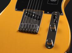 Fender Player II Telecaster Rosewood Fingerboard ~Butterscotch Blonde~_6