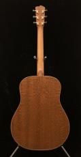 Breedlove Ed Garhard Signature DAS_4