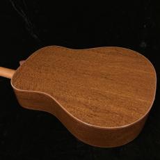 Breedlove Ed Garhard Signature DAS_6