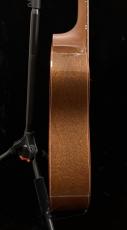 Breedlove Ed Garhard Signature DAS_7