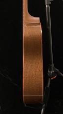 Breedlove Ed Garhard Signature DAS_8